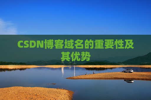 CSDN博客域名的重要性及其优势
